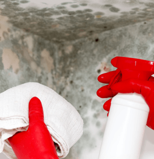 Mold Cleanup — Worker Holding a Spray and a Rag in Brandon, MS