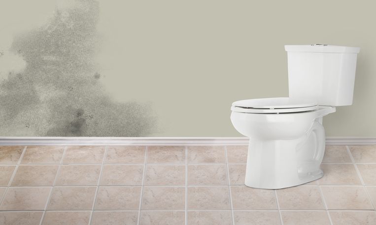 Bathroom with mold on wall near toilet showing need for professional flood water damage cleanup Bathroom with mold on wall near toilet showing need for professional flood water damage cleanup