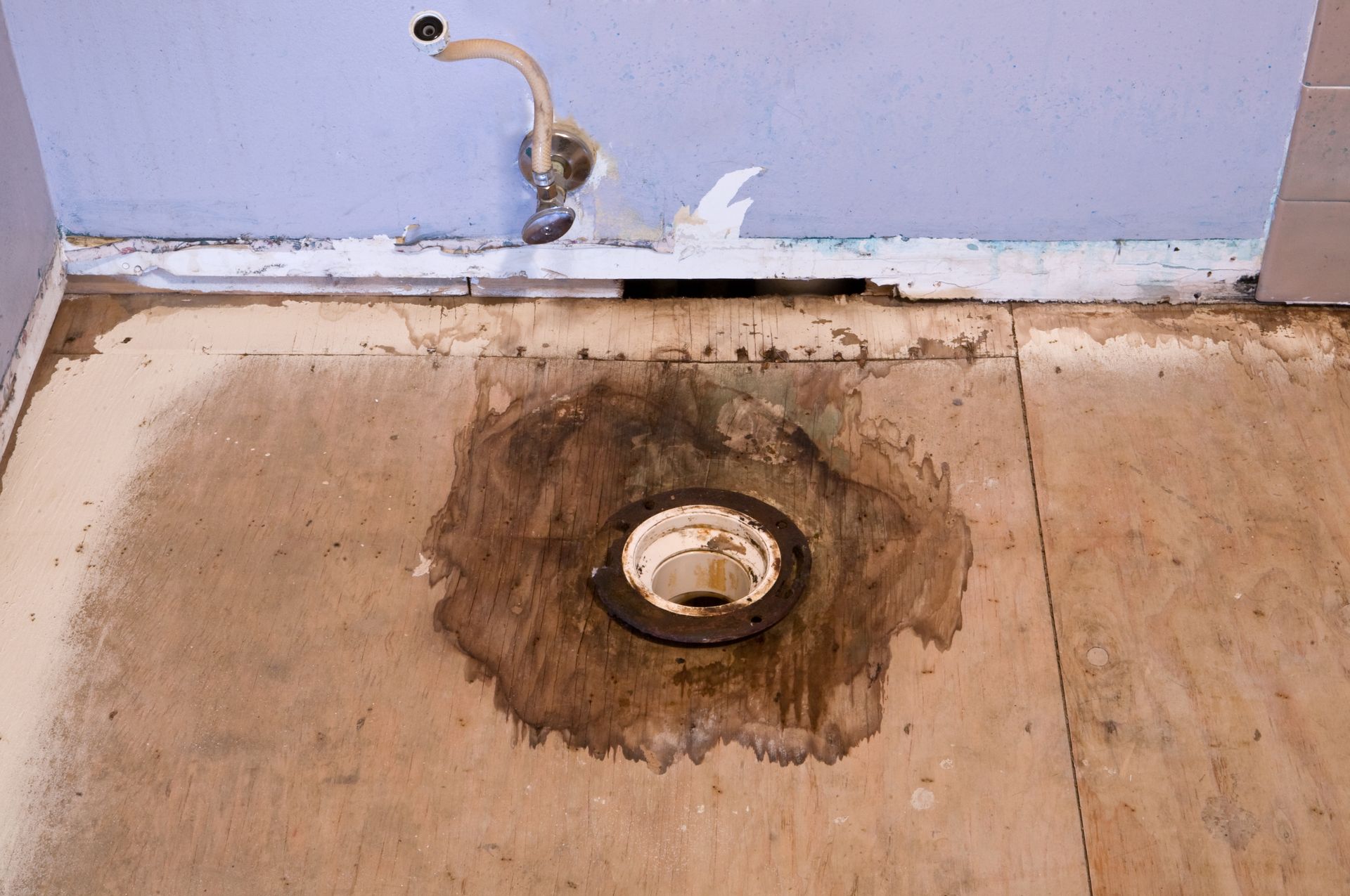 Water-damaged floor with visible stains and warping, indicating severe moisture issues