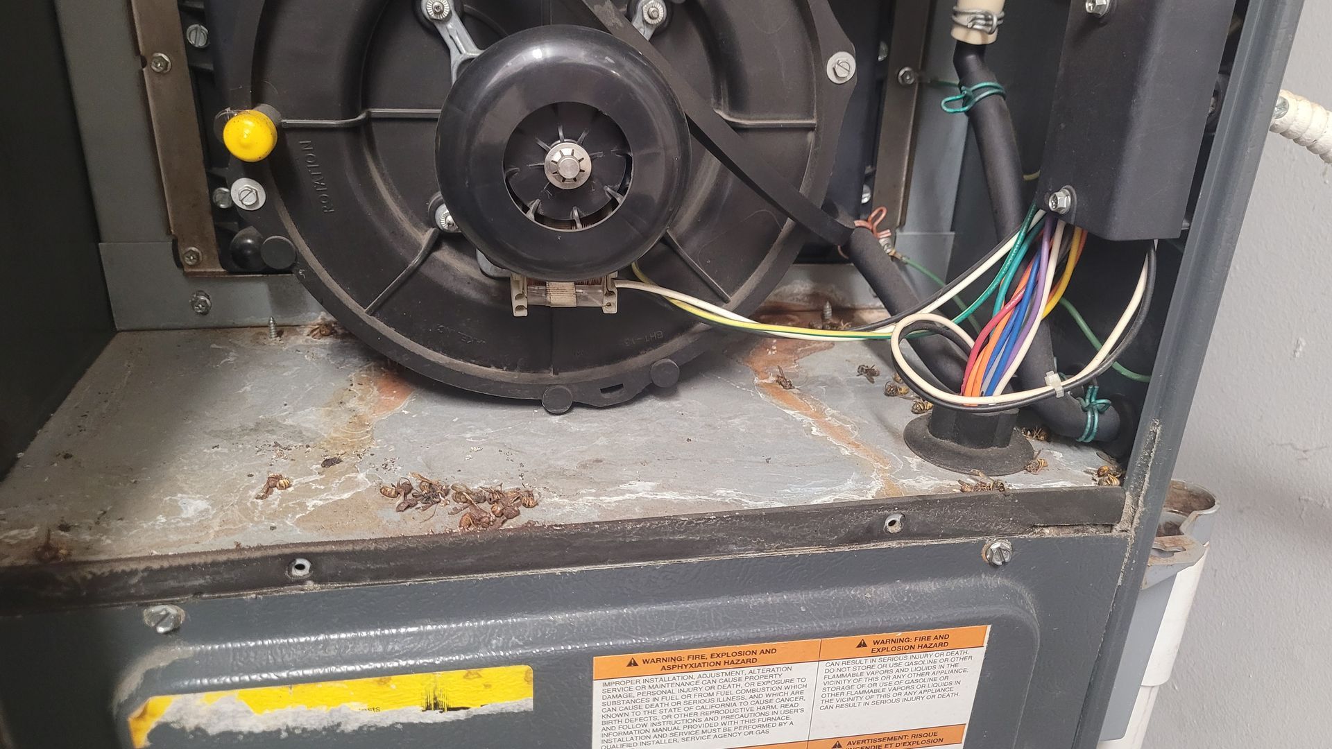 HVAC furnace has rust and needs to be cleaned 