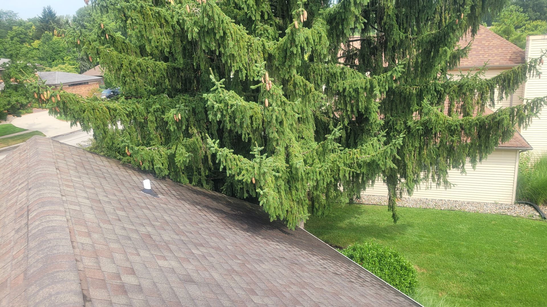 Tree overhanging the roof during a fort wayne home inspection