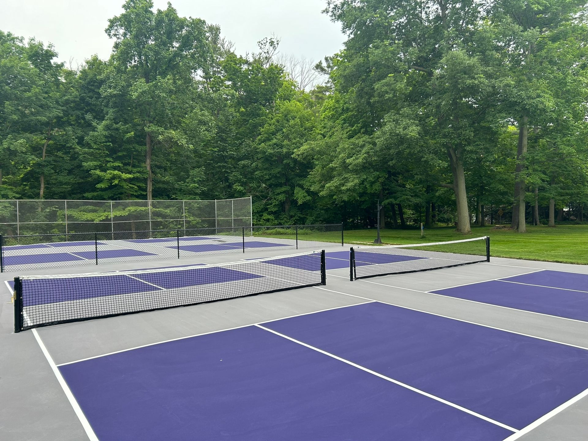 A row of purple tennis courts with trees in the background.