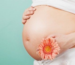 Primo piano del grembo d'una donna incinta che sostiene un fiore