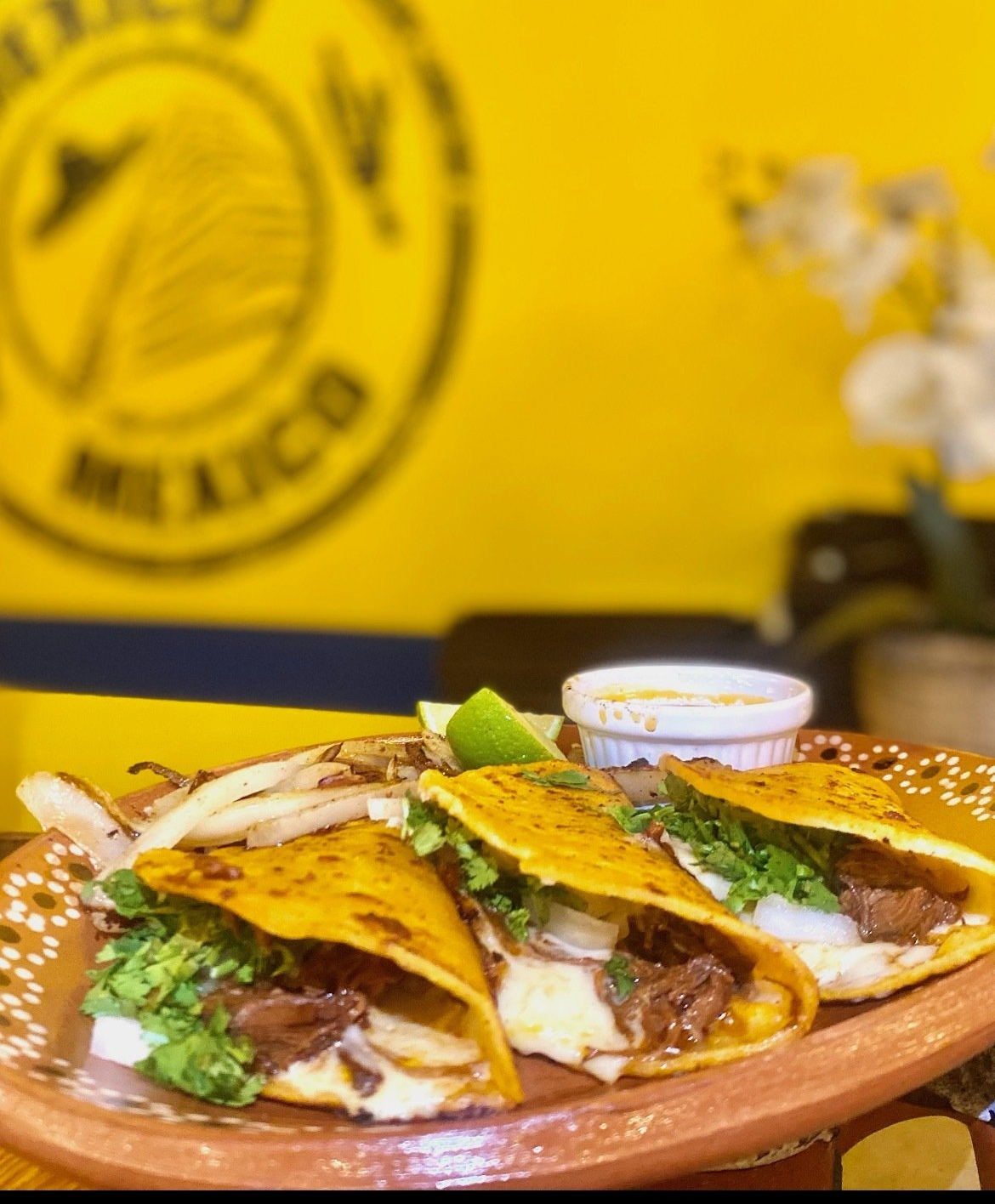 A plate of food with a mexico logo in the background