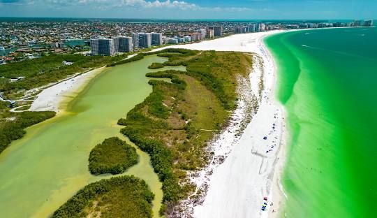 The sun is shining through the branches of a tree overlooking a city.