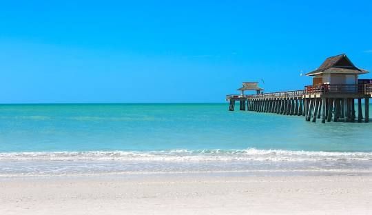 A museum building with a log cabin in front of it.
