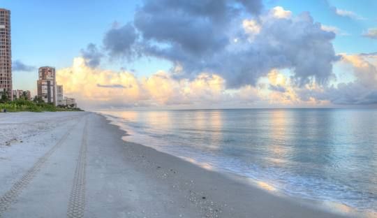 A sunset over a lake with trees in the foreground and a bridge in the background.