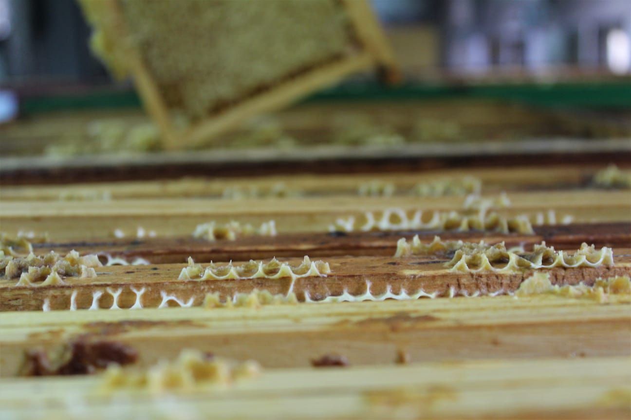 Un primo piano di un favo su un tavolo di legno.