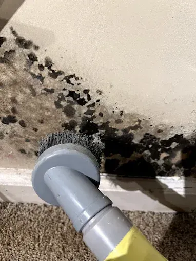 Fire restoration portfolio 9