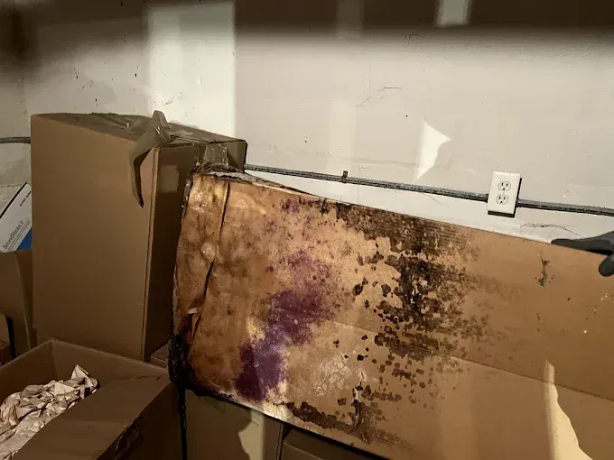 Yellow house with a two-car garage, lush green lawn, and blue sky with clouds.