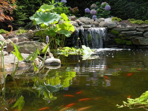 Landscape with Water Features — Hanover Nursery in Hanover Township, PA