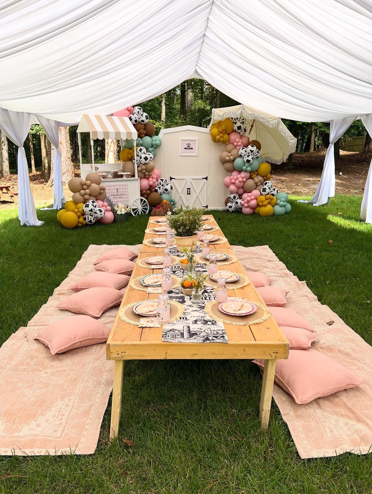Outdoor party setup with long wooden table, pillows, tent, and decorative balloons.