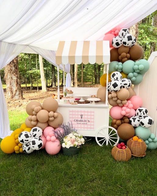 Ice cream cart with balloon garland display on a lawn.
