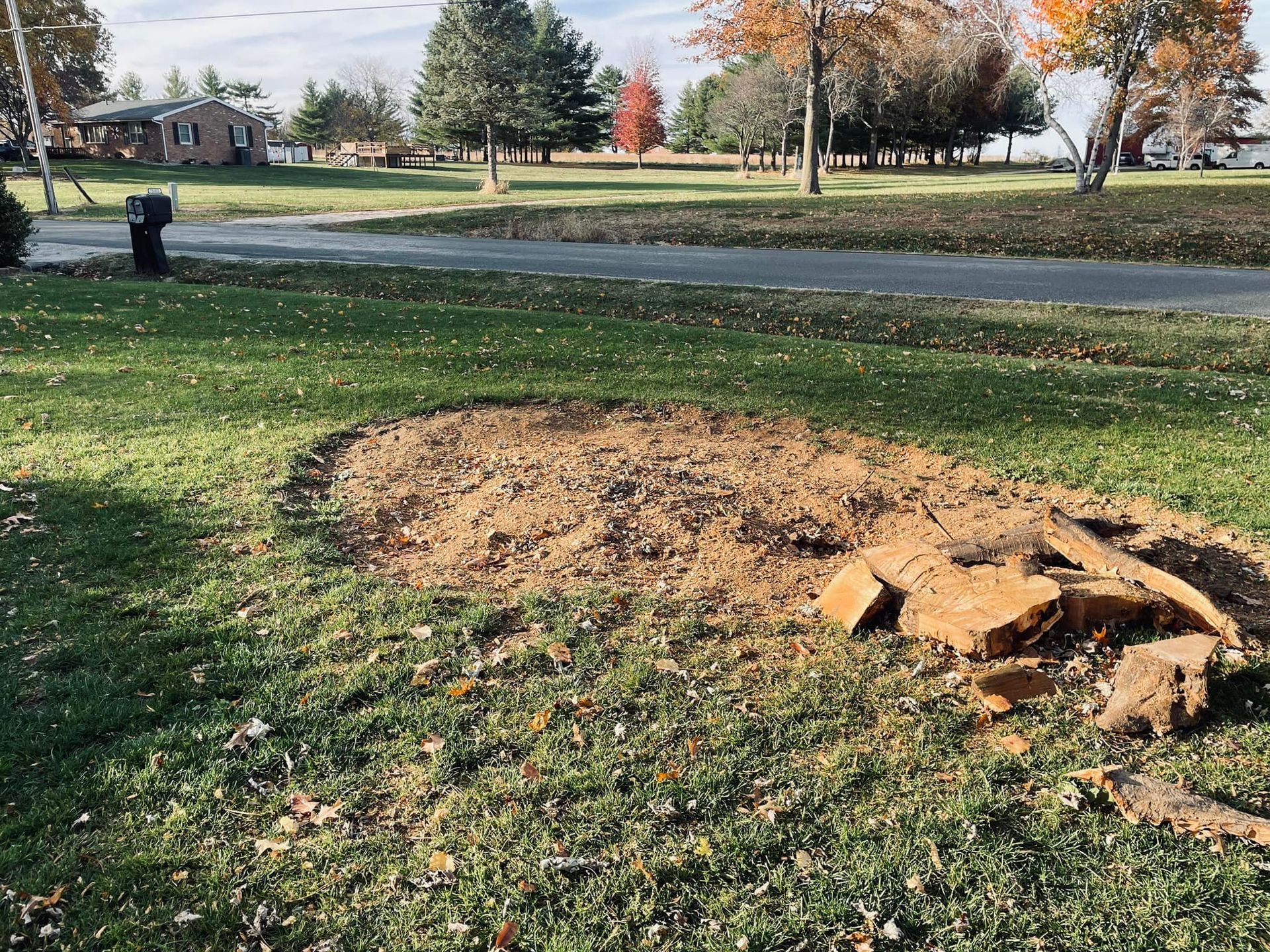 A large tree stump in the middle of a lush green field.