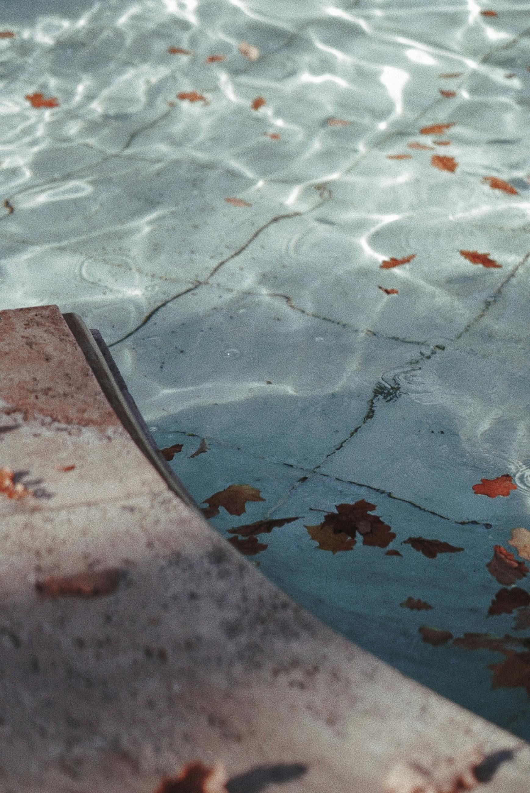 Close-up of shimmering water in a pool with fallen leaves; textured stone edge in foreground.