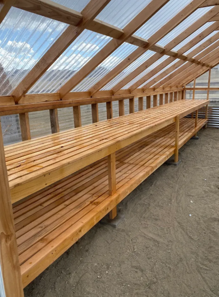 A greenhouse with wooden shelves and a clear roof