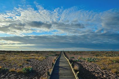 Wooden walkway through dry landscape under a cloudy blue sky.