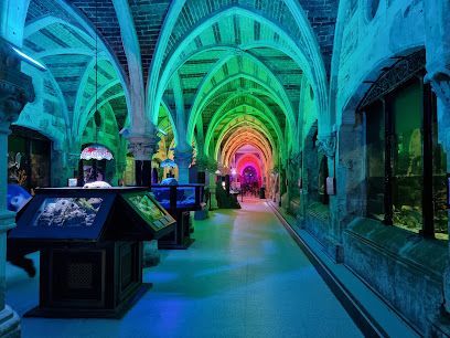 A long hallway with arched ceilings is lit with vibrant rainbow colors. Displays and windows line the walls.