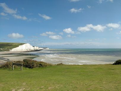 White cliffs meet the sea under a bright blue sky with wispy clouds. Green grass in the foreground.
