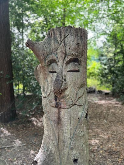 Wooden tree stump carved with a smiling face in a wooded area.