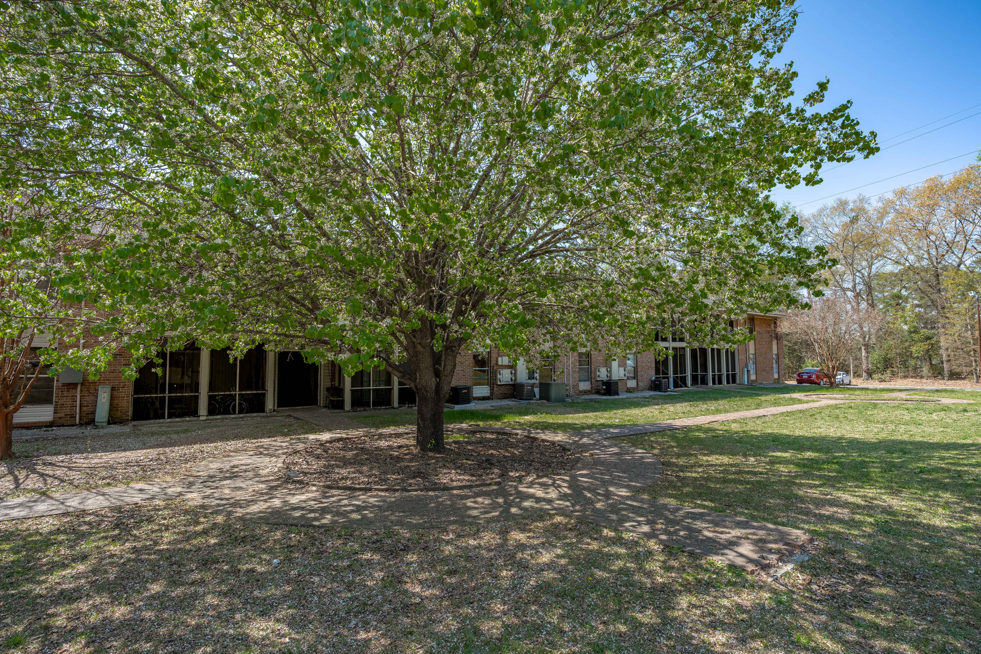 A sprawling, sunlit brick house with a covered porch is framed by a large, leafy tree in a grassy yard.