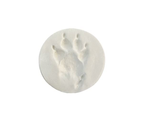 Clay Paw Print