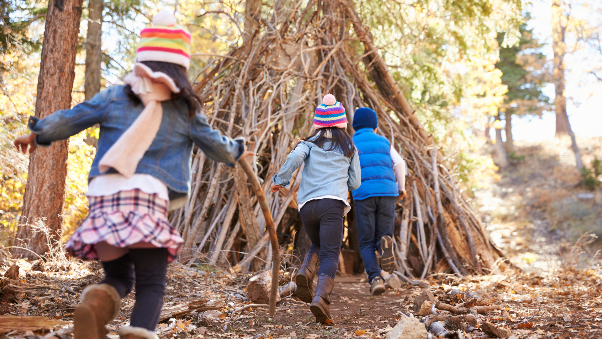 A group of children are playing in the woods.