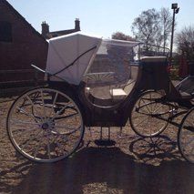 Horse Carriage cover 