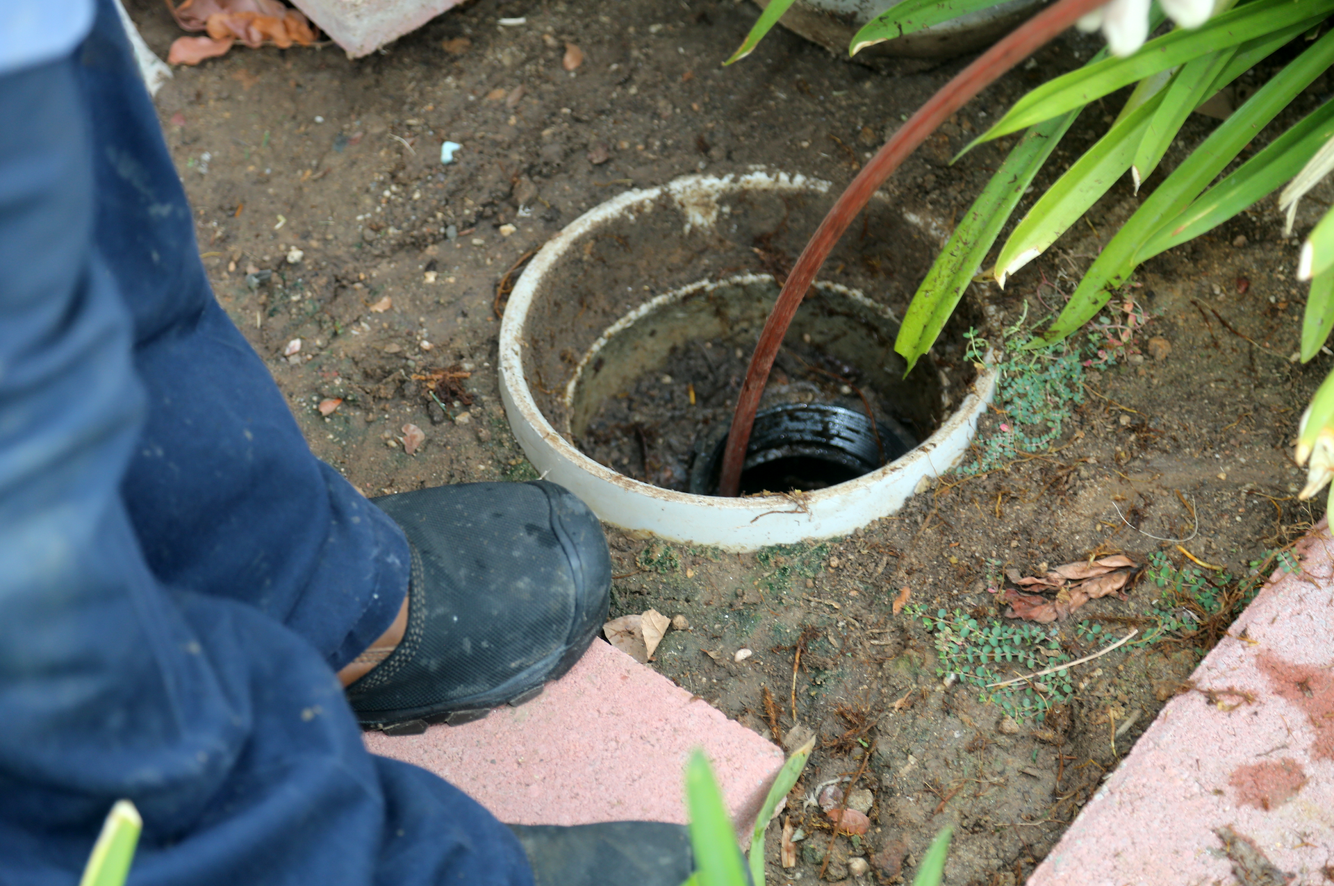 A person is cleaning a drain in the ground with a hose.