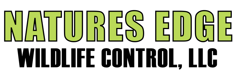 Logo Natures Edge Wildlife Control, LLC