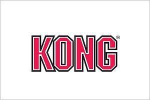 Logo Kong