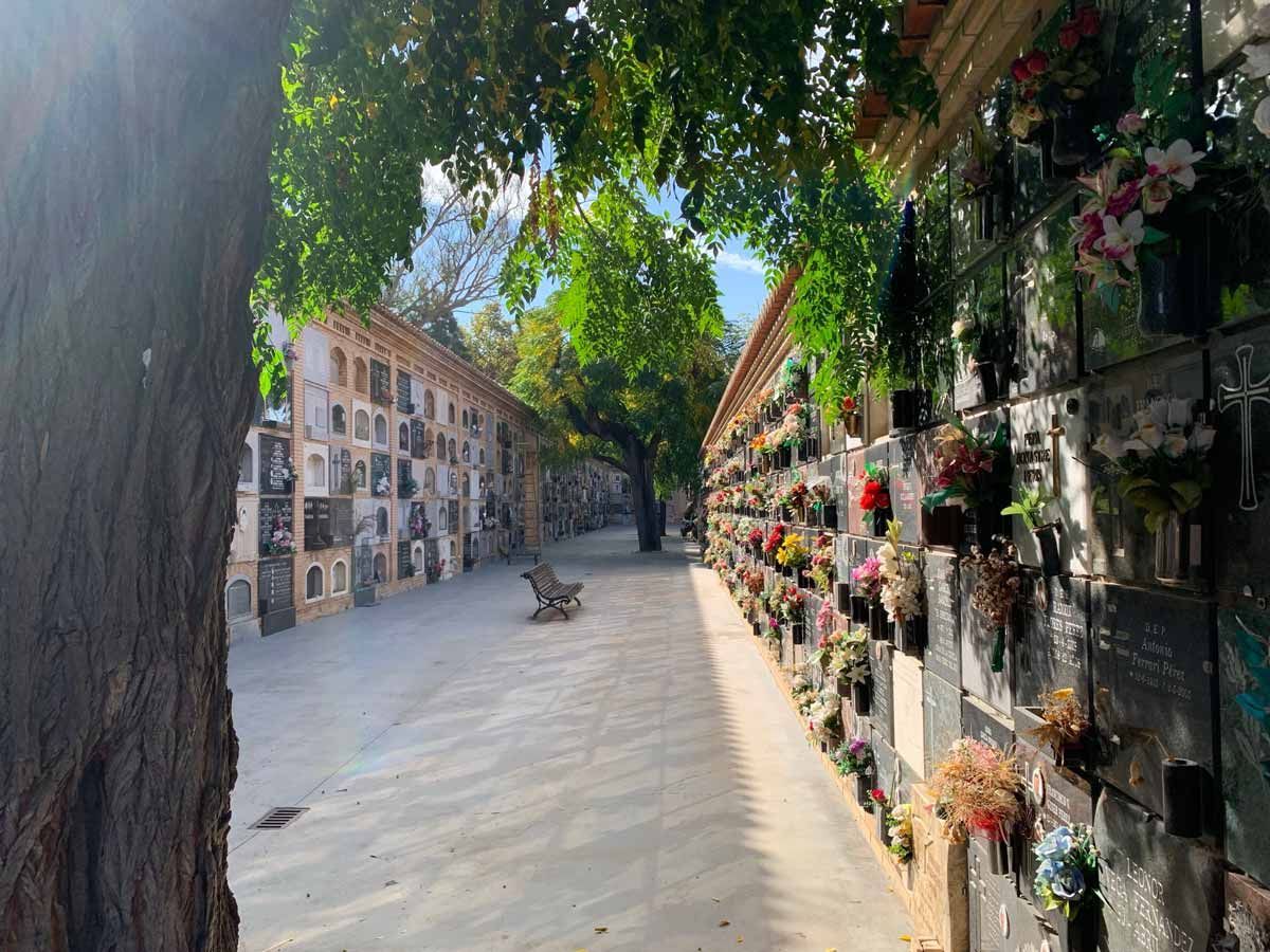 Ein Friedhof mit vielen Blumen an den Wänden und einem Baum im Vordergrund.