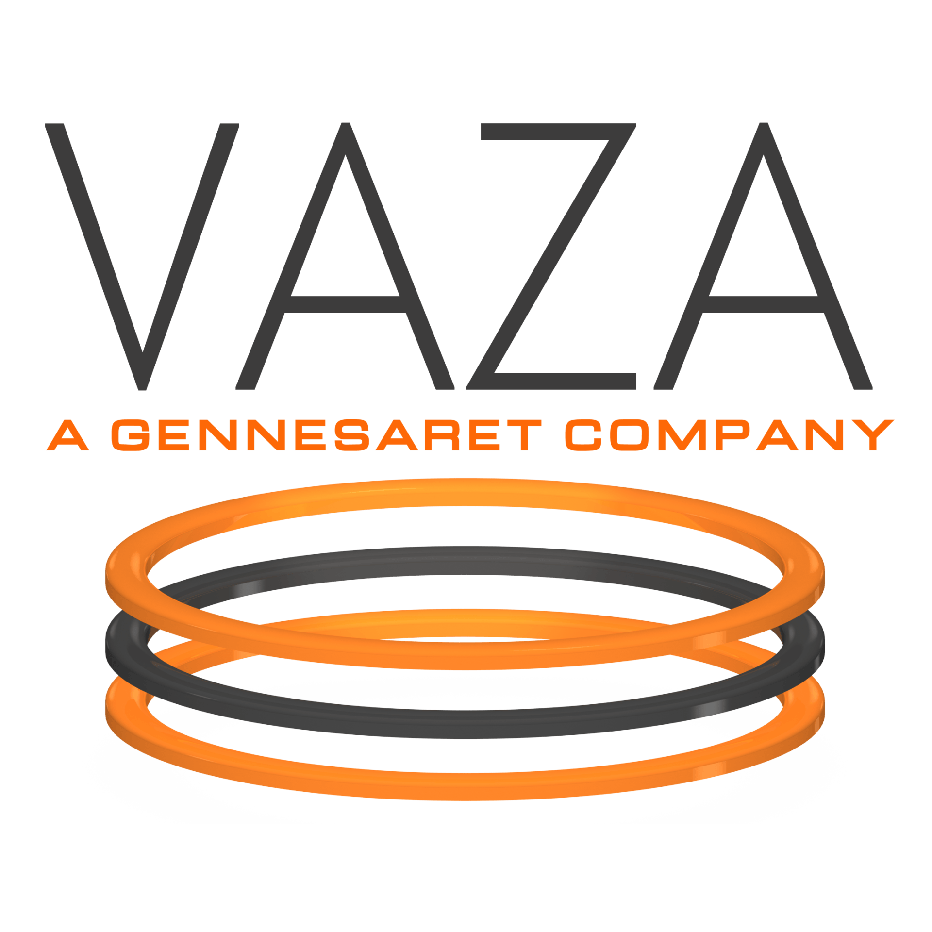 VAZA, LLC