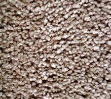 Wood Floor and Floor — Almond Toast Color Royalty Style Boukastan Carpet in Saint Petersburg, FL