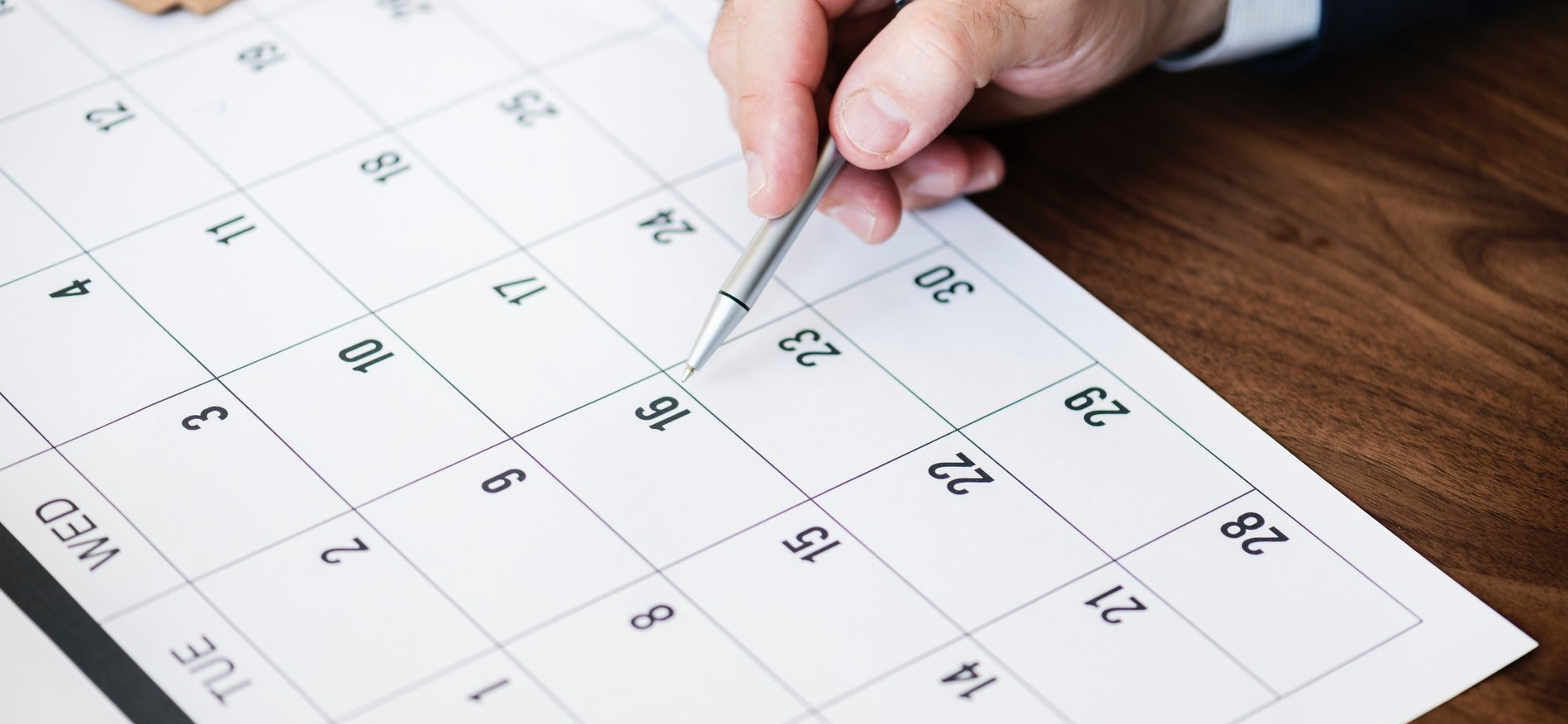 startup accounting services
