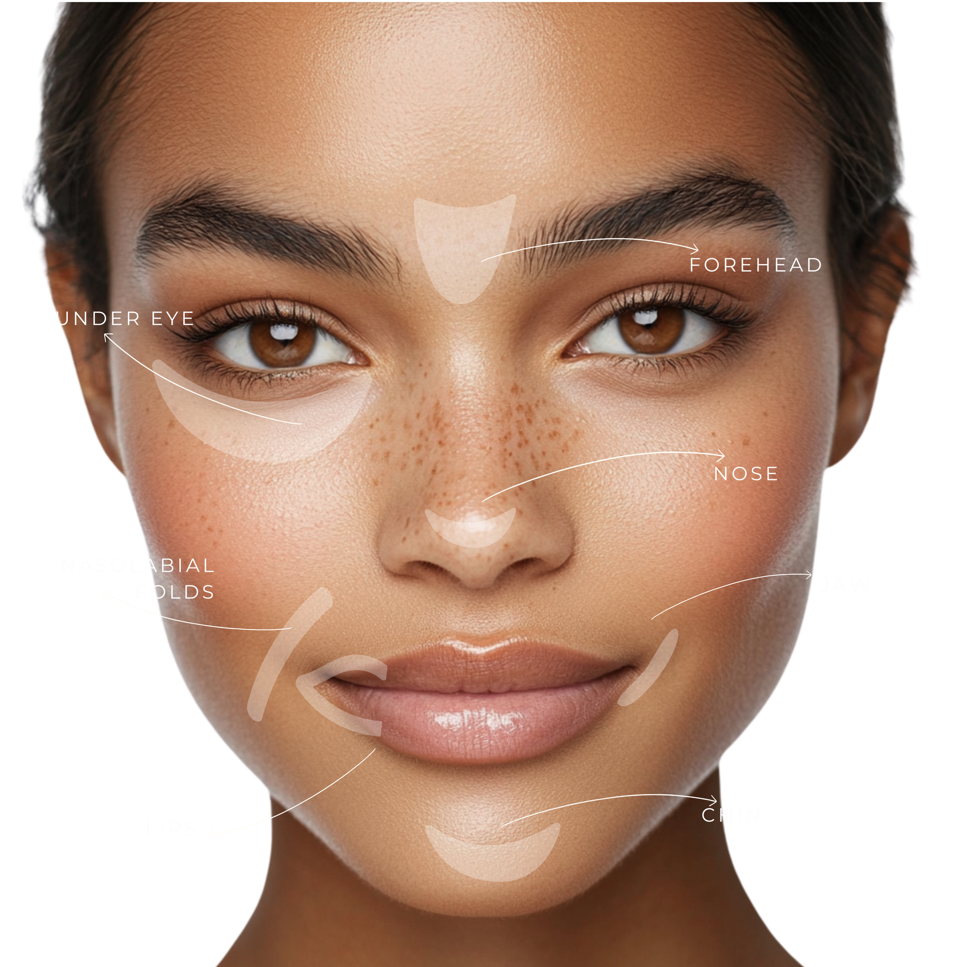 A close up of a woman 's face with different areas labeled