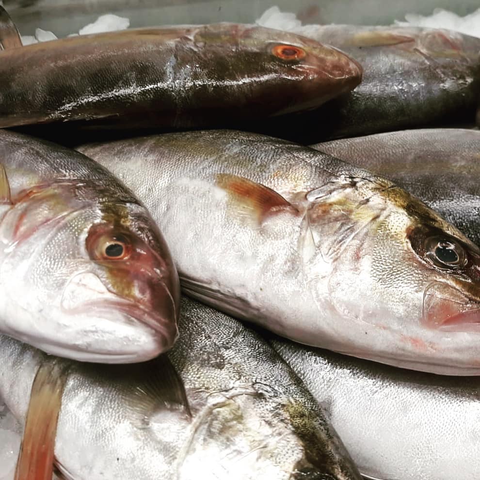 piatti di mare Pescheria Virgilio