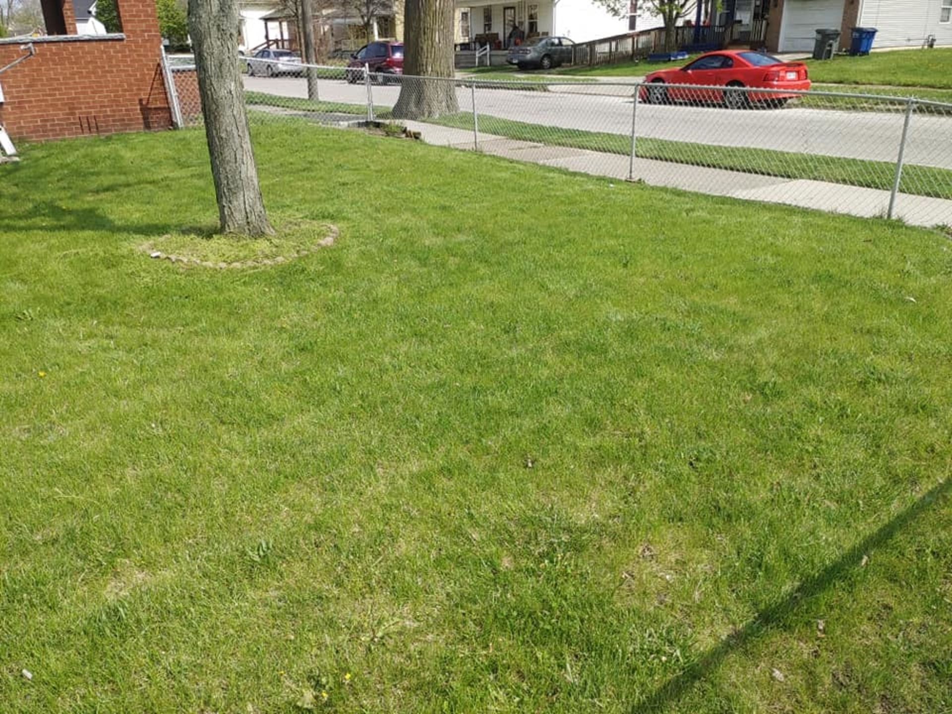 A lush green lawn with a red car parked in the background.