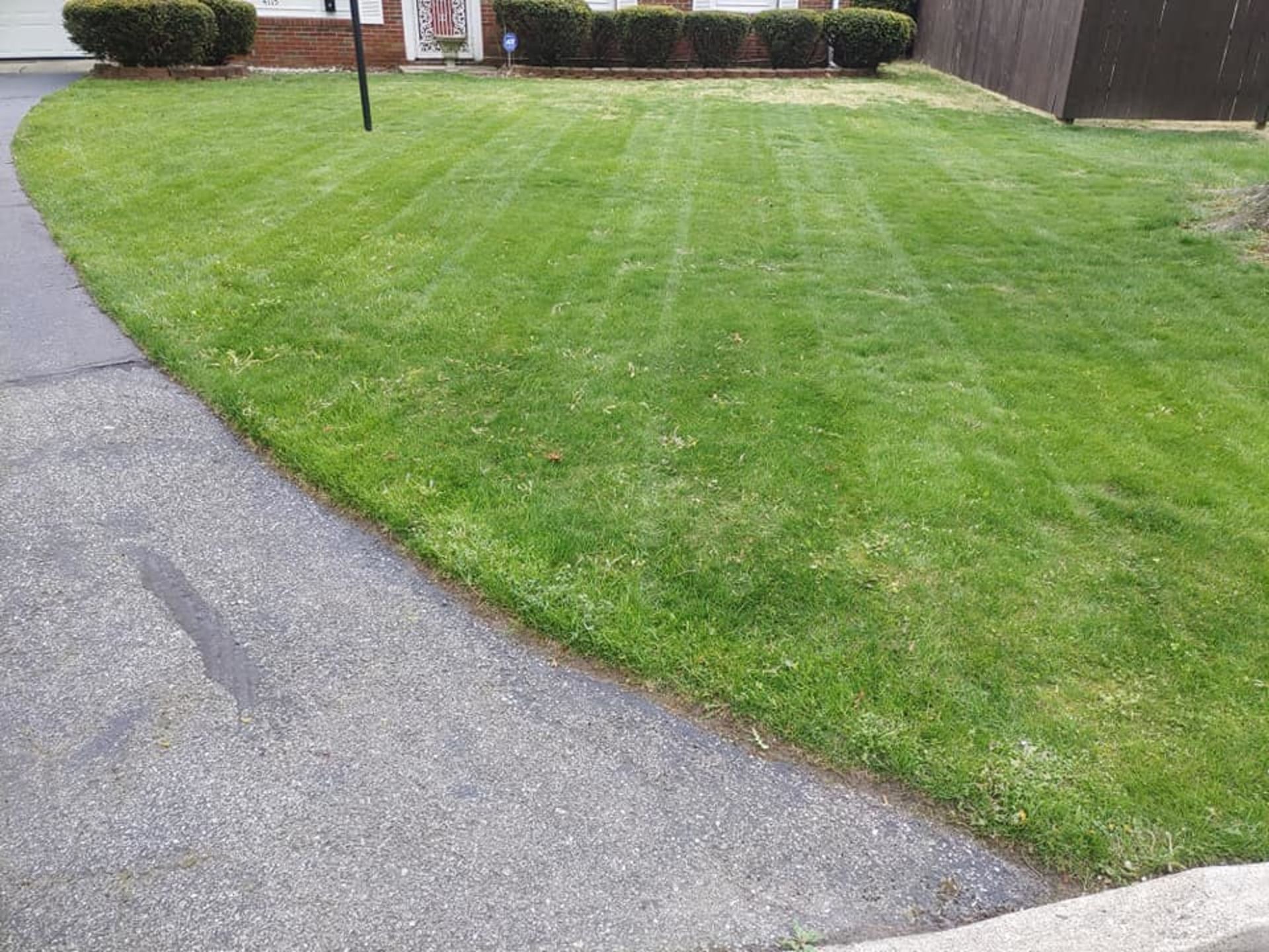 A lush green lawn next to a sidewalk and a house.