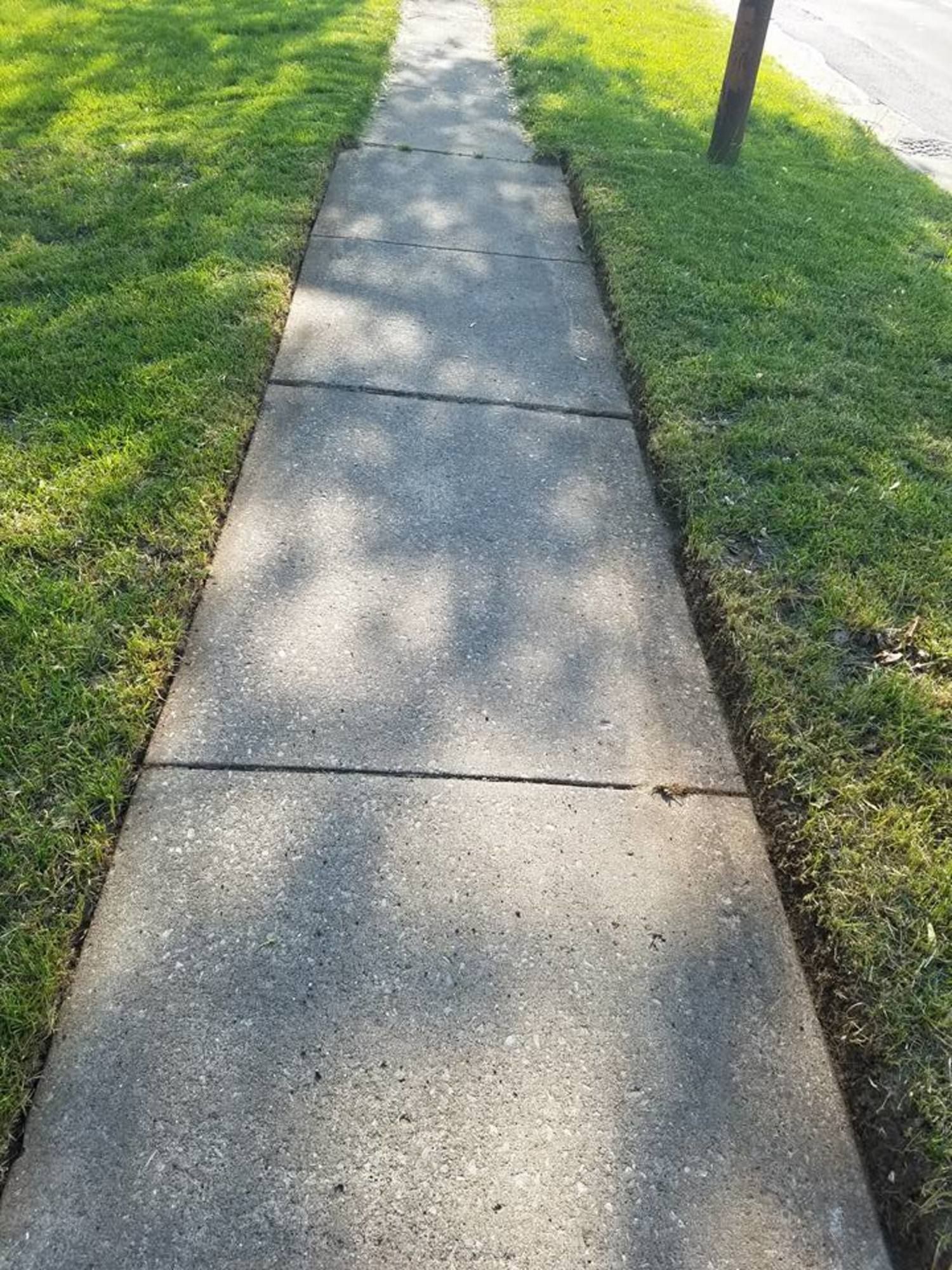 A sidewalk with grass on the side of it and a tree in the background.