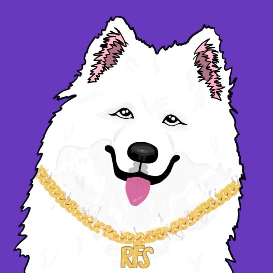 A white dog wearing a gold chain with the letter rs on it