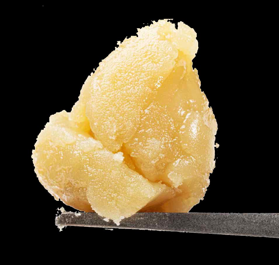 A close up of a piece of food on a tweezer on a black background.