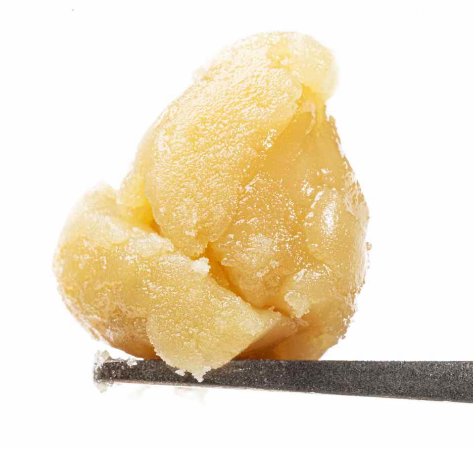 A close up of a piece of food on a pair of tweezers.