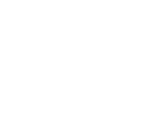 Blank white image with a faint gray line along the bottom edge that says