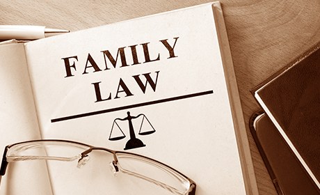 family law book