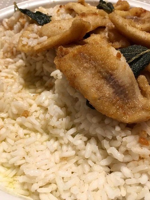 fish filets and rice
