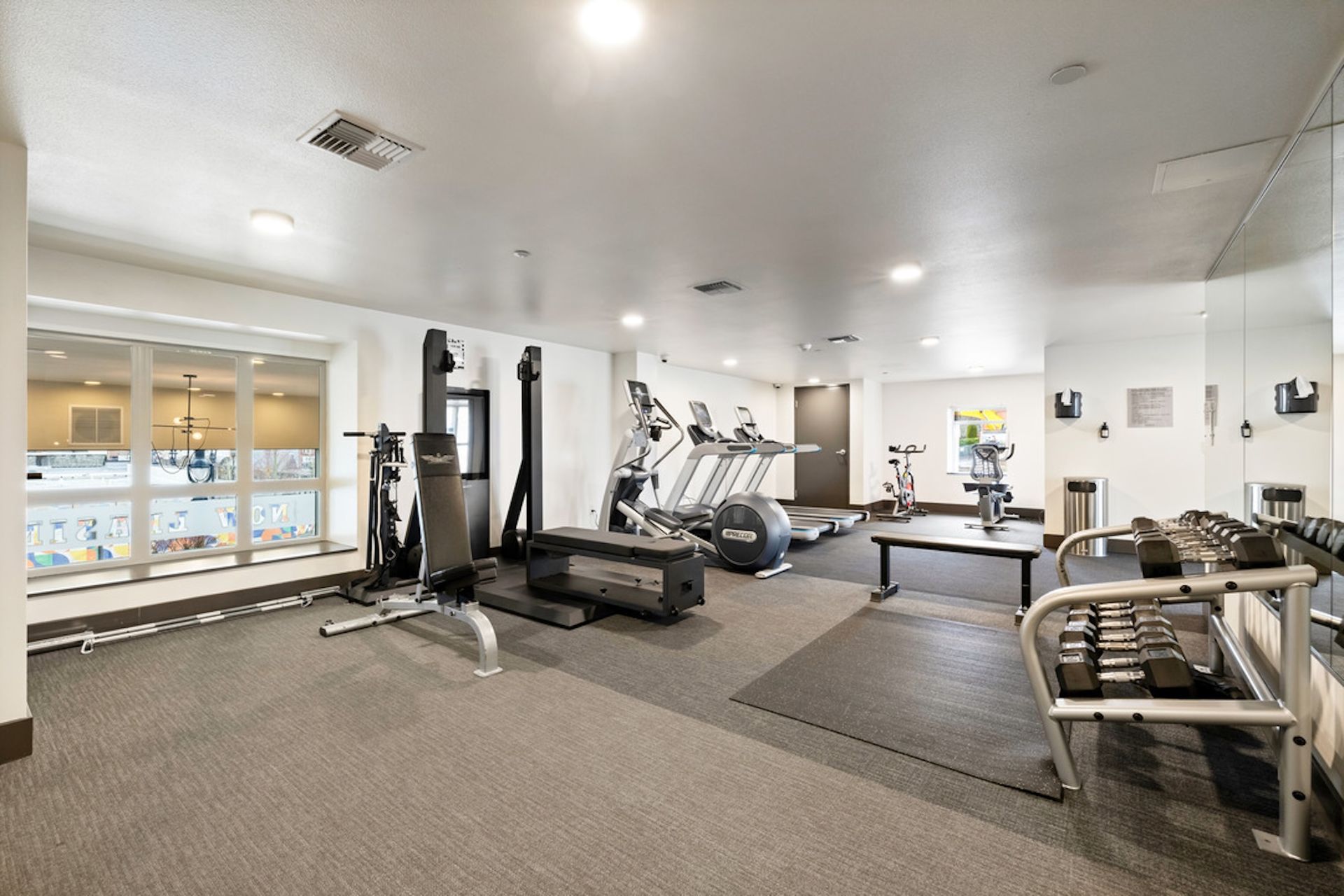 Gym with various exercise machines, dumbbells, and mirrors. Brightly lit with a window.