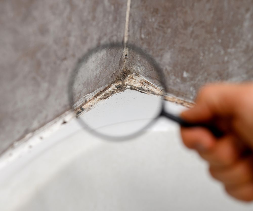 Magnifying glass over mold in a tiled bathroom corner.