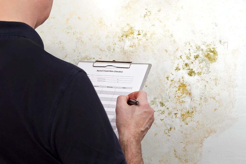 Person inspecting wall with mold, holding clipboard. Wall shows yellow and green discoloration.