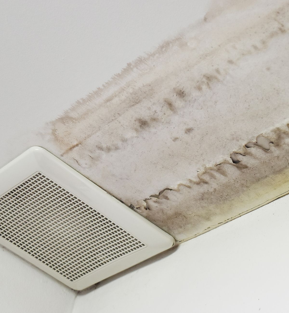 Moldy ceiling near a white air vent. Water damage visible with brown and gray staining.
